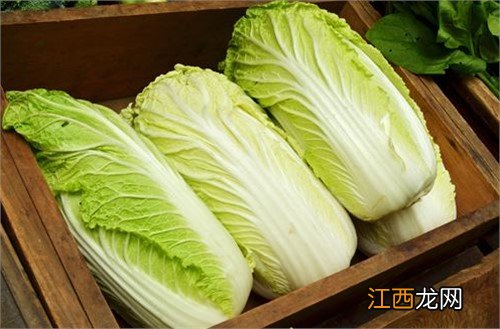 你知道吗？你知道吗？多吃白菜也能减肥！