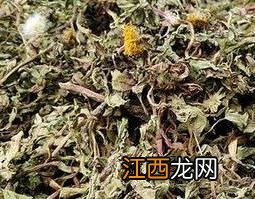 婆婆丁花晒干泡水的功效与作用 婆婆丁的花泡水的功效