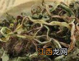 蒲公英炒制和没炒有什么区别 炒蒲公英和不炒区别