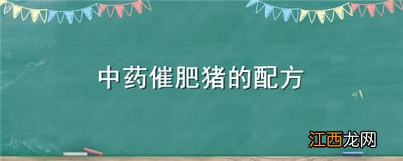 中药催肥猪的配方 中药催肥猪的配方是什么