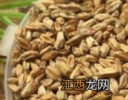 浮小麦的功效与作用与主治 浮小麦的功效与作用