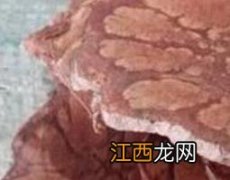 九牛造对男人的功效 九牛子的功效