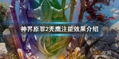 神界原罪2石园的鹰有什么用 神界原罪2秃鹰注能效果怎么样