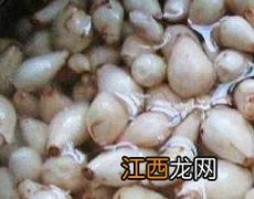 绵枣的功效与作用绵枣能放白糖吗 绵枣的功效与作用