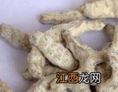 灸僵蚕的功效与作用及禁忌是什么 灸僵蚕的功效与作用及禁忌