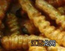 斗米虫的功效与作用 斗米虫的功效与作用要吃几条才行