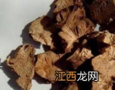 金荞麦的功效与作用及禁忌及食用方法 金荞麦的功效与作用及禁忌