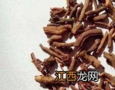 茜草的功效与作用及禁忌 茜草的功效与作用及禁忌及食用方法