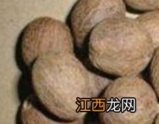 红豆蔻与白豆蔻的区别与功效 红豆蔻与白豆蔻的区别