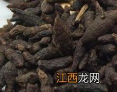 醋香附的功效与作用及禁忌 醋香附的功效与作用及禁忌的功效与作用茯苓