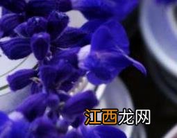 紫草膏的功效与作用 紫草膏的功效与作用图片