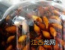 金樱子酒的制作方法 金樱子酒的制作方法酿酒小视频