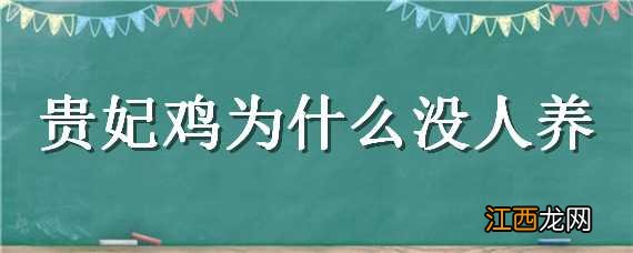 贵妃鸡为什么养不大 贵妃鸡为什么没人养