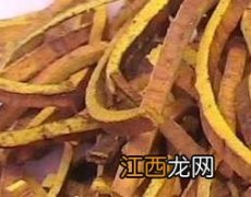 知母黄柏的功效与作用及禁忌 黄柏的功效与作用及禁忌