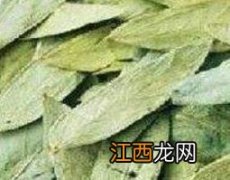 番泻叶的功效与作用及副作用 番泻叶的功效与作用及副作用