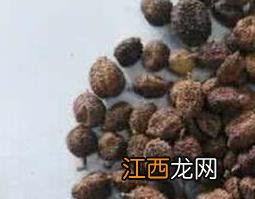 砂仁麦芽粉的功效与作用 砂仁麦芽粉的功效与作用