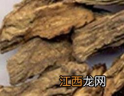 续断的功效与作用图片 续断的功效与作用