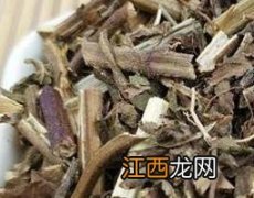 茵陈功效与作用的功效与作用 金钟茵陈的功效与作用及药用价值