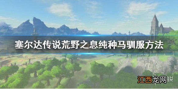 塞尔达传说荒野之息如何驯服纯种马 塞尔达传说荒野之息纯种马怎么驯服