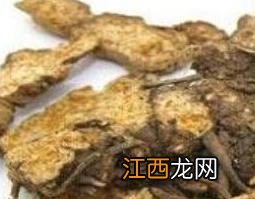 苍术泡水喝有什么功效 苍术泡水喝的副作用