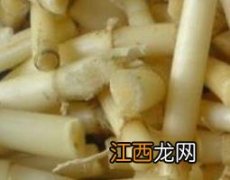 芦苇根泡水喝的功效与作用 芦苇根泡茶有什么功效