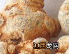 雪三七和三七的差别 白三七和三七的区别