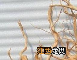 黄杜鹃根的功效与作用及药用价值 黄杜鹃根的功效与作用及药用价值