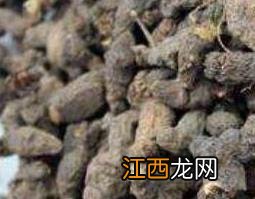 天葵子的功效与作用禁忌及食用方法 天葵子的功效与作用