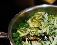 女人喝艾叶水的功效与坏处有哪些 女人喝艾叶水的功效与坏处