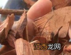 桃金娘根的功效与作用图片 桃金娘根的功效与作用