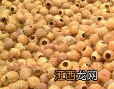 椰壳的功效与作用 椰壳有什么作用与功效