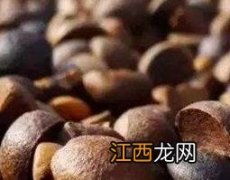 茶壳的功效与作用 茶壳的功效与作用是什么