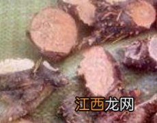 红景天泡水的功效与作用是什么 红景天泡水的功效与作用