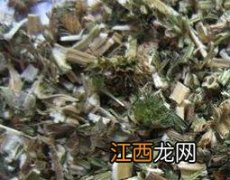 益母草子的功效与作用 益母草子的功效与作用是什么