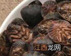 簸箕虫泡酒的功效与作用是什么 簸箕虫泡酒的功效与作用