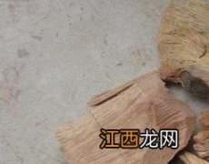 枫香树叶的功效与作用 樟树根的功效与作用