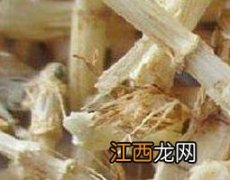 白茅根的功效与作用 白茅根的功效与作用图片