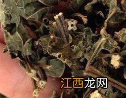 溪黄草与茅岩莓的区别 溪黄草与莓茶的区别