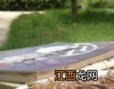 田三七的功效与作用的功能与主治 田三七的功效与作用