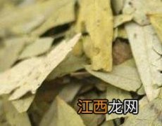 减脂叶的功效与作用及禁忌症 减脂叶的功效与作用