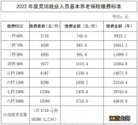 2022年南宁灵活就业人员养老保险档次标准