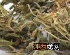 紫花地丁泡水喝的功效与作用及禁忌 紫花地丁泡水喝的功效与作用