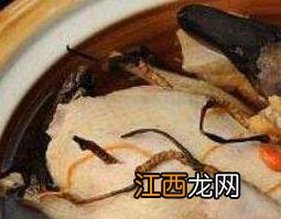 冬虫夏草怎么吃对肺好 冬虫夏草怎么吃