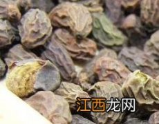 女贞子能直接泡水喝吗 女贞子能直接泡水喝吗 一天几颗