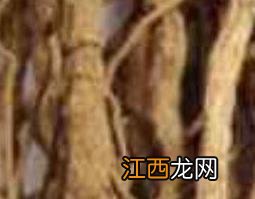 山苍了根的功效与作用 山苍子的根有什么功效