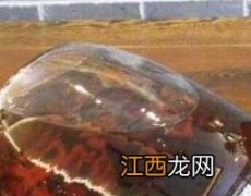 锁阳酒怎么泡 锁阳泡酒的三种制作方法