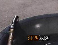 牛胆膏是怎么熬出来的 牛胆膏是怎么熬出来的视频