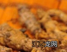 川莲的功效与作用 川连的功效与作用