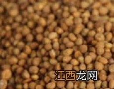 菟丝子怎么吃 菟丝子怎么吃最壮阳