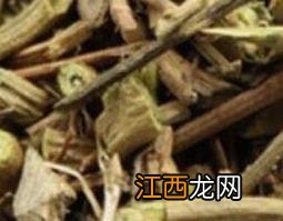 排风藤怎么吃 排风藤怎么吃最好